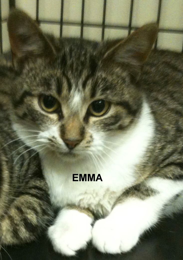 Emma